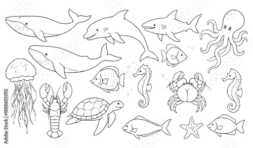 Hand drawn sea animals sketch outline vector illustration set