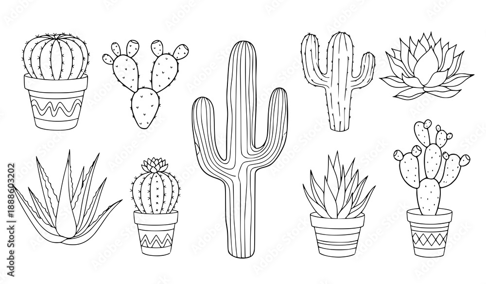 Fototapeta premium Cactus outline vector illustration set with hand drawn succulent doodle clipart