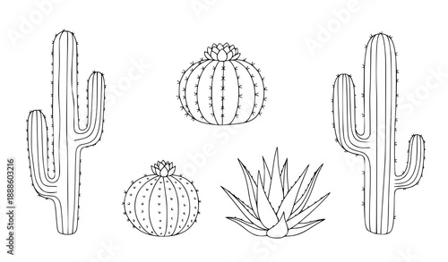 Minimal cactus outline doodle vector illustrations with succulent plant clipart