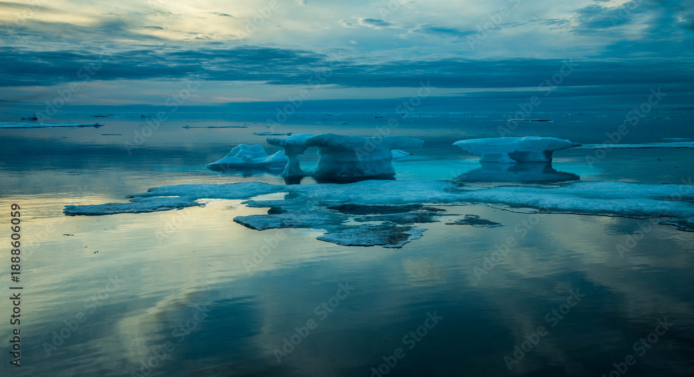 Fototapeta premium Iceberg on the sea Greenland