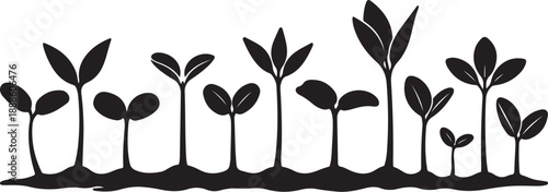 Black silhouettes of growing plants and seedlings in soil