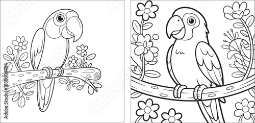Two cartoon parrot birds one outlined and one colored with a colorful palette below