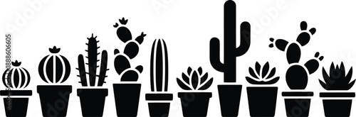 A varied horizontal line of potted cactus and succulent plants showcasing different heights and distinct shapes
