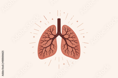 Human lungs concept showing anatomy design with shining elements for health