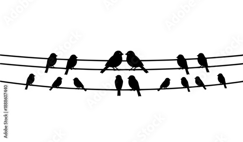 Birds on wire minimalist silhouette vector set for Scandinavian wall decor and decals