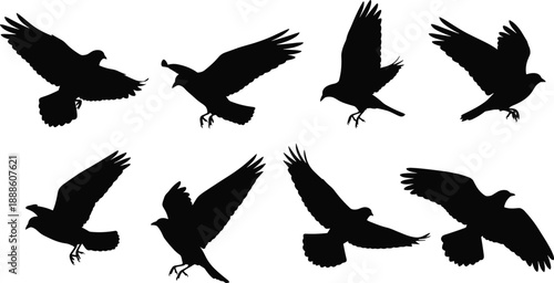 Flying bird silhouettes collection, black avian wildlife flight poses with spread wings, bird shadow set isolated on white