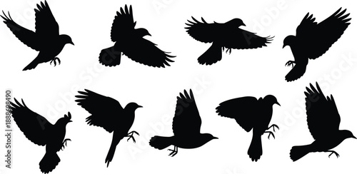 Flying bird silhouette collection, black birds in dynamic wing positions, avian wildlife flight poses isolated on white background