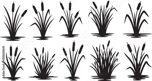 Set of cattail silhouettes on white background illustration design