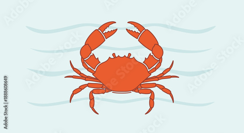 crab on white background