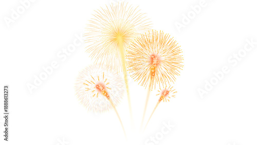 fire works , fire works png , fire works in sky , color full fire works