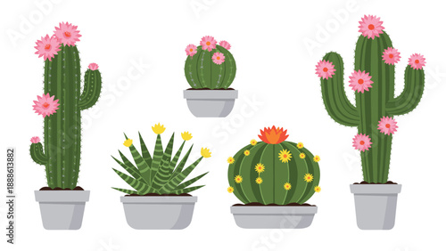 Selection of various cacti and succulents in grey pots with colorful pink and yellow flowers in a flat illustration style.