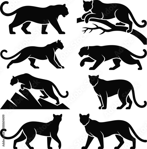 Black silhouettes of big cats in various poses leopard