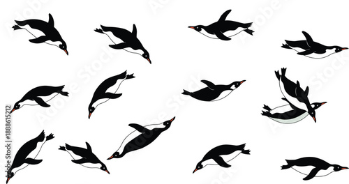 Penguins swimming illustration, dynamic bird poses in water, wildlife art, Antarctic animals, underwater motion, black and white design, nature scenePenguins swimming illustration, dynamic bir