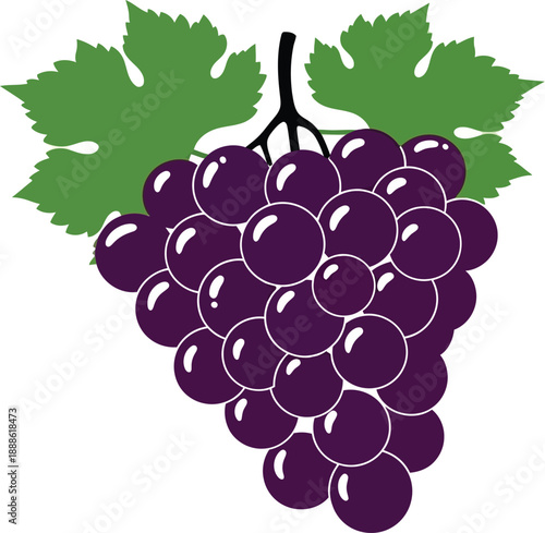 A vibrant bunch of purple grapes with green leaves on transparent background silhouette