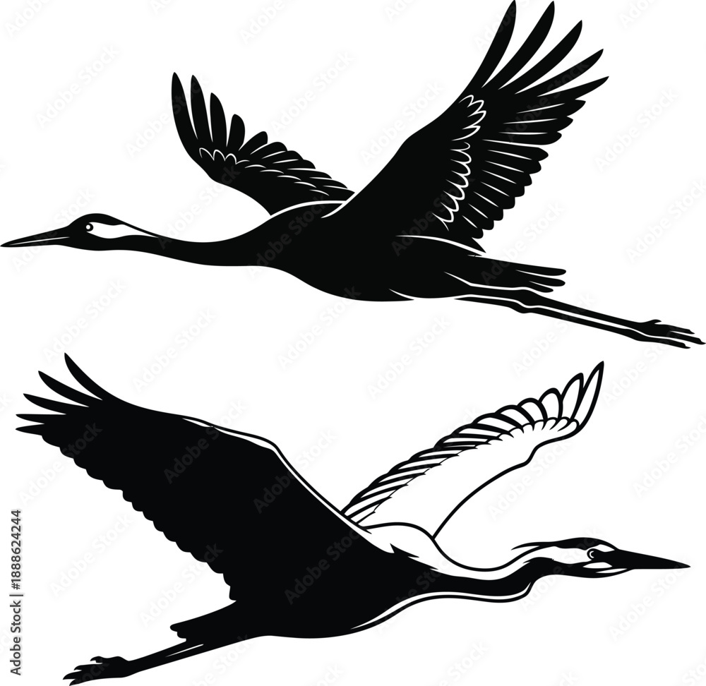 Fototapeta premium Graceful cranes silhouette in flight vector illustration
