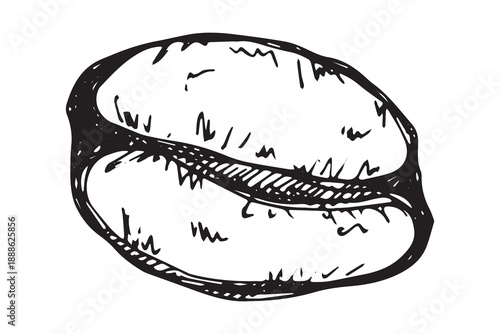 Hand drawn fresh roasted coffee bean Arabica robusta seed doodle Single element for print, web, design, decor