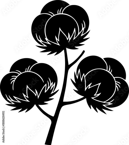 Cotton branch silhouette isolated on white background minimalist fluffy cotton bolls and dried husks botanical nature illustration