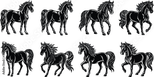 Eight black horses in various poses on white background