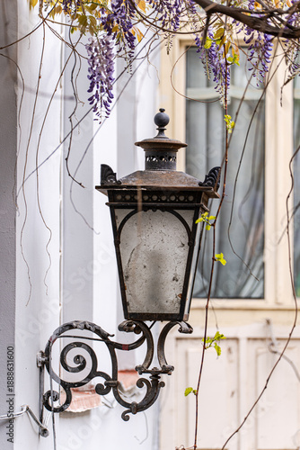 Wallpaper Mural Purple wisteria plant blooming in the Old Tbilisi Torontodigital.ca