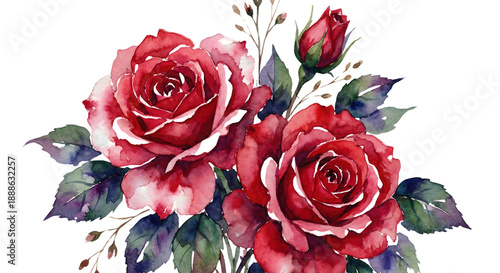 Wallpaper Mural Vibrant Watercolor Red Roses and Bud with Dark Green Leaves Elegant Floral Arrangement isolated on transparent background Torontodigital.ca