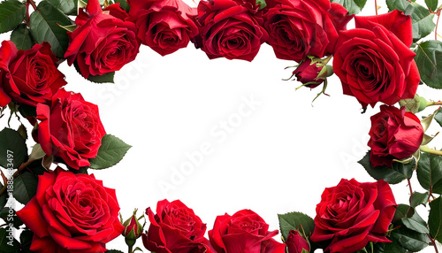 A circular frame of vibrant red roses, dark background, detailed petals, green leaves