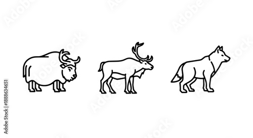 Arctic and Mountain Animal Icons: Yak, Reindeer, and Wolf for Wildlife, Nature, and Northern Ecosystem Designs.