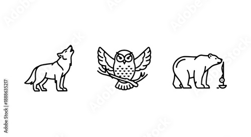 Wild Forest Animal Icons Set including a Howling Wolf, Owl on a Branch, and a Walking Bear for Nature Discovery