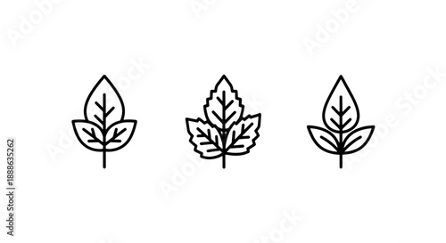 Assorted Botanical Leaf Shape Icons set representing Diverse Plant Foliage for Nature and Organic Design