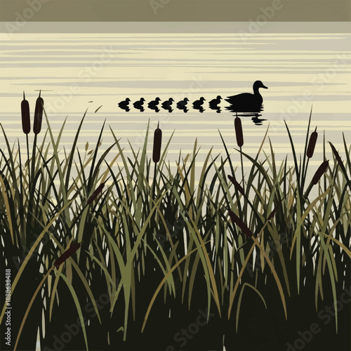 Mother duck and her baby ducklings.