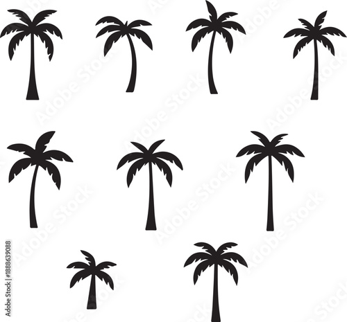 set of palm trees