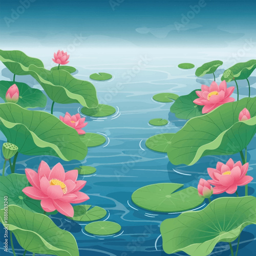 Pink lotus flowers on water surface.