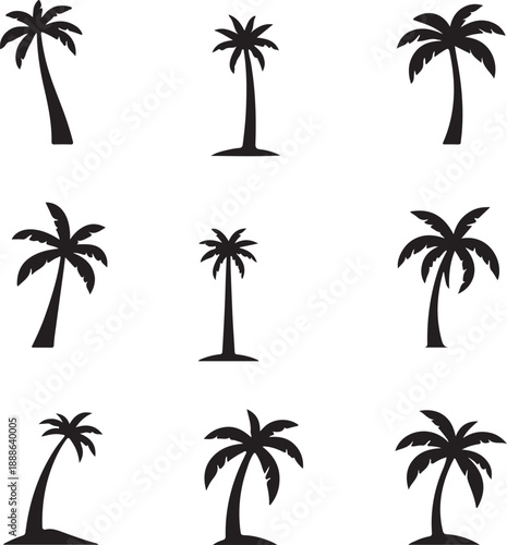 set of palm trees