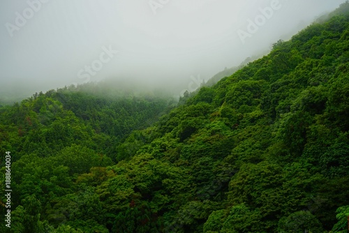 Fotografija Lush forest covered mountain with fog in Arashiyama, Kyoto, Japan