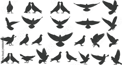 Large collection of pigeon and dove silhouettes in various flight poses and standing positions isolated on white background vector animal set.