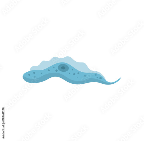 Pratozoa Parasite Trypanosoma Vector Illustration 