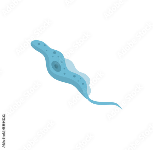 Pratozoa Parasite Trypanosoma Vector Illustration 