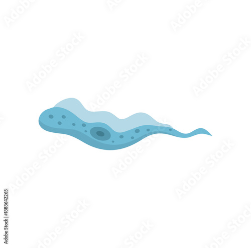 Pratozoa Parasite Trypanosoma Vector Illustration 