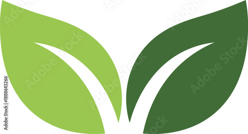 Two abstract green leaves with white stems on a white background nature organic