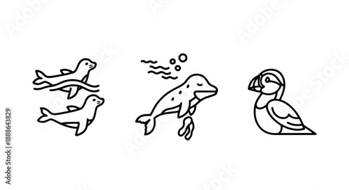 Charming line art icons of seals swimming, a dolphin leaping, and a puffin, representing marine wildlife.