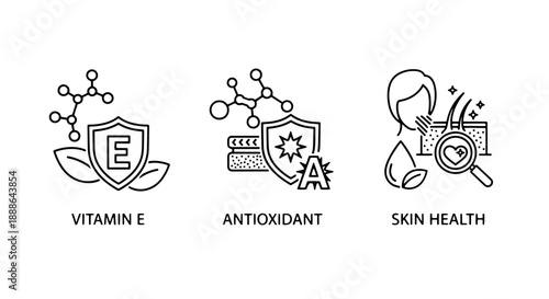 Cosmetic and health icons: Vitamin E shield, antioxidant symbol, and skin health analysis with magnifying glass for beauty and wellness branding.