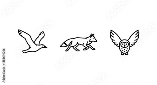 Wild animal icons in outline: a bird in flight, a walking fox, and an owl with wings spread