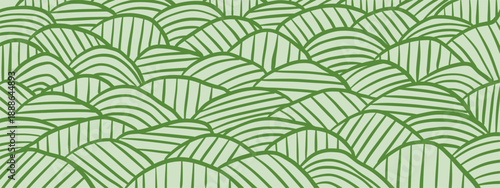 Vineyard field stripe pattern. Hand drawn wavy green hills texture for agriculture backgrounds.