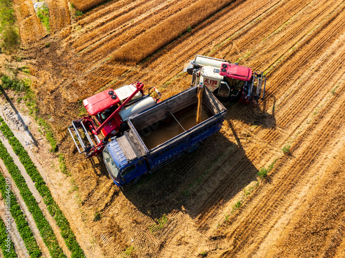 Wallpaper Mural Combine harvester working on a wheat field，Aerial photos Torontodigital.ca