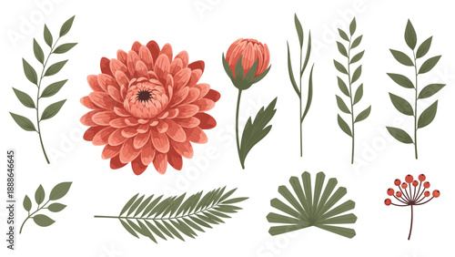 Beautiful collection of coral colored dahlia flowers and various green leaves of different shapes arranged on a white background.