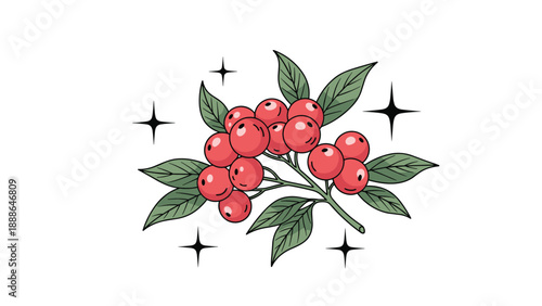 Artistic illustration of a branch with a cluster of bright red berries and green leaves surrounded by four pointed stars.