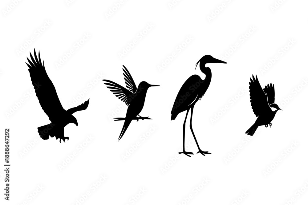 Fototapeta premium Vector illustration of four different birds in flight and standing with nature art, graphic design