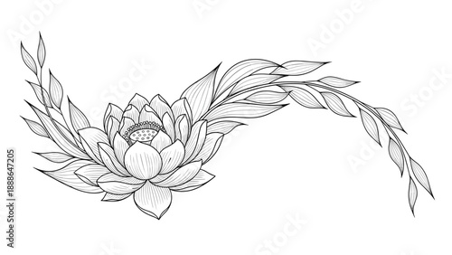 Elegant black and white line drawing of a lotus flower at the base of a long, flowing branch with delicate pointed leaves.