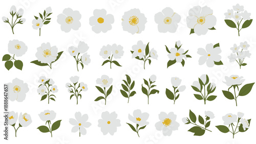 Large grid of various white flowers with yellow centers and green leaves arranged in different positions for design elements.