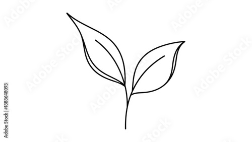 Minimalist black and white line drawing of a small plant sprout with two leaves on a single thin stem.