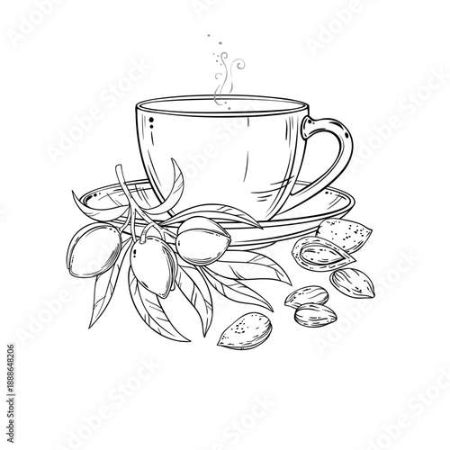 Cup of Almond Tea aroma beverage Outline Illustration. Vector isolated for Design and Decoration for Cafeteria, Posters, Banners, Cards.